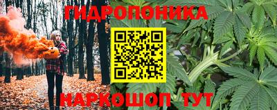 гидра Заводоуковск