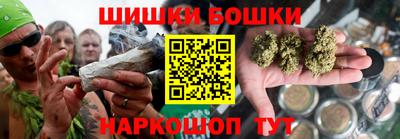 гидра Заводоуковск