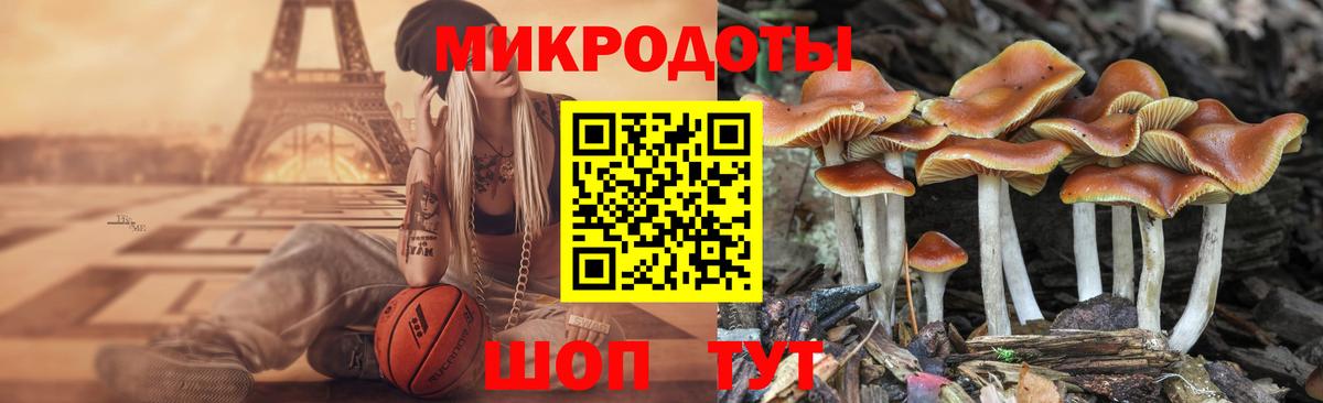 Галлюциногенные грибы Psilocybe  Псилоцибиновые грибы мухоморы  Вход с VPN  Лабытнанги 